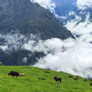 Airport Hotels in Tibet: Practicality for Transit and High-Altitude Adjustment