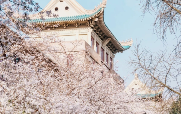 Le migliori 5 destinazioni di viaggio primaverili in Cina: Fiori fiorenti, Tesori culturali & Meraviglie sconosciute