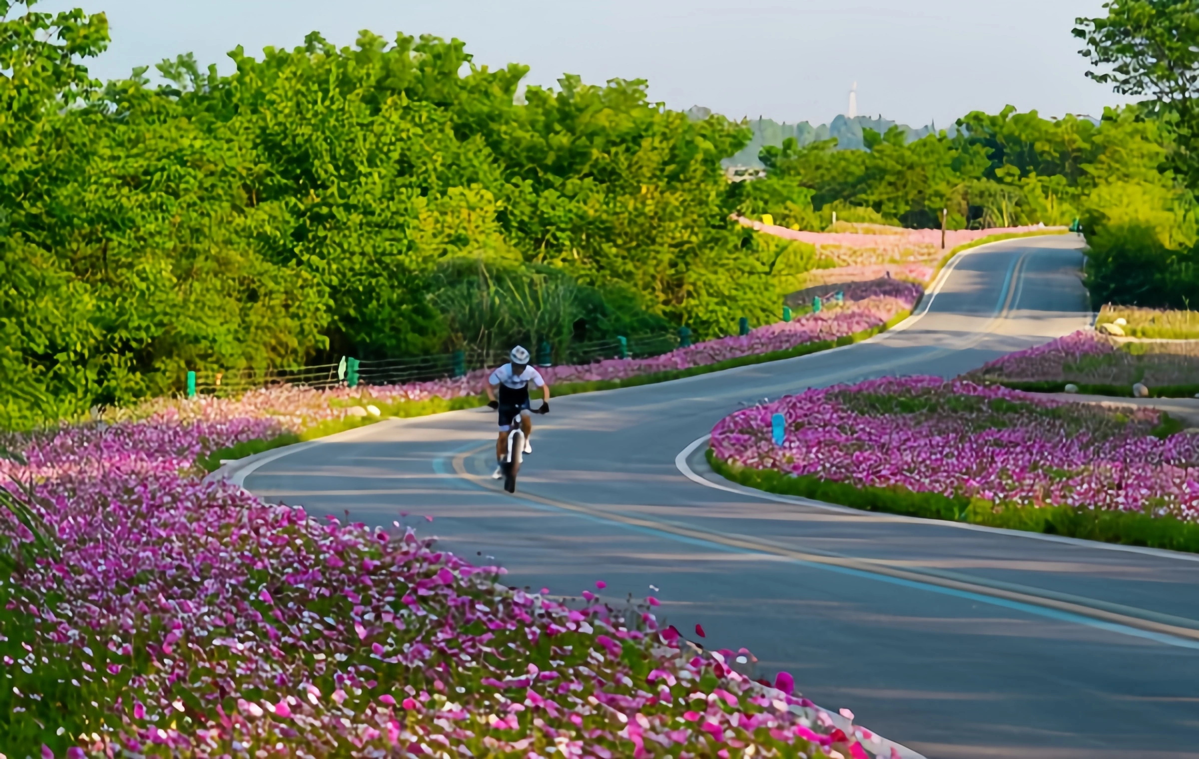Scopri le migliori piste ciclabili di Chengdu: una guida per gli amanti della natura e dell'avventura