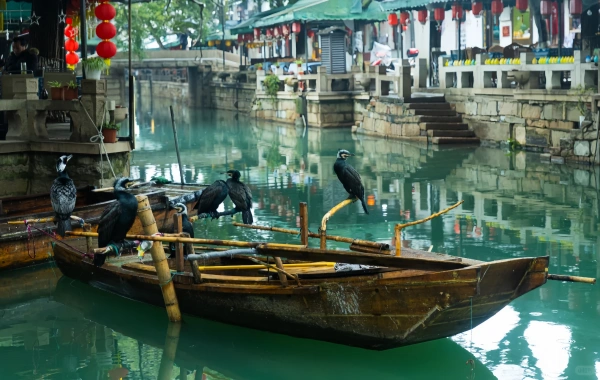 Tongli Ancient Town: A Secluded Journey from a prosperous water town to a Retreat garden-4