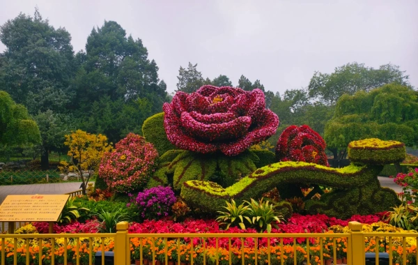 Jingshan Park: The central axis of the dragon vein overlooking the summit of the Forbidden City-3