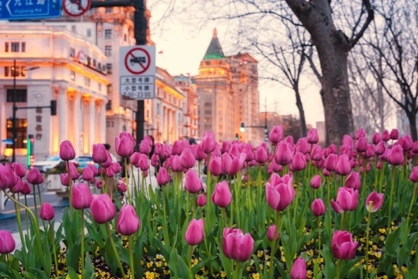 5 Days Zhangjiajie Tour