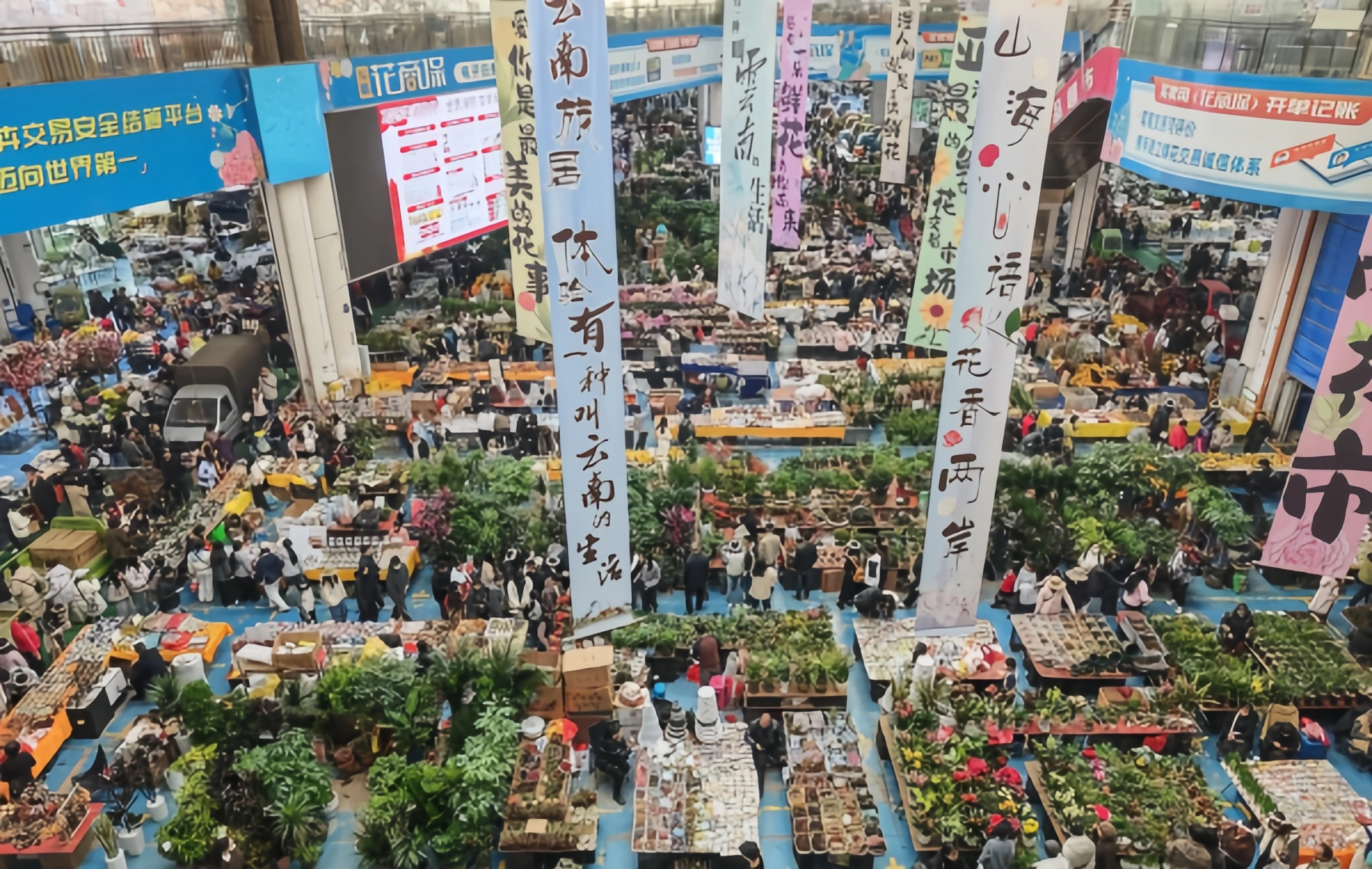 Dounan Flower Market: A Splendid Legend from the Flower Fields of Dianchi Lake to the Flower Capital of Asia-3