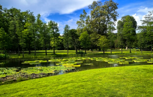 South China Botanical Garden: A vibrant epic of plant evolution and a journey to an urban oasis.-3