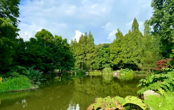 Kunming Botanical Garden West Garden: A condensed epic from mountain nursery to plant kingdom-2