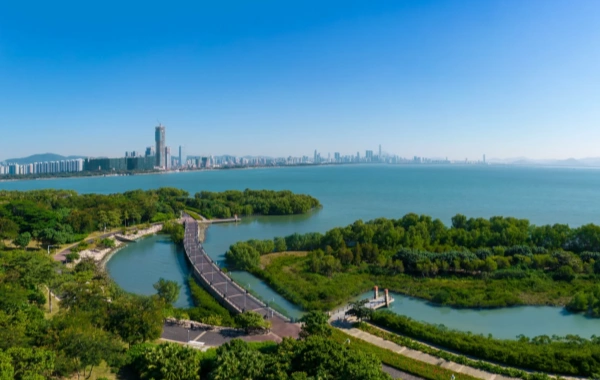 Shenzhen Bay Park: A Transformation from Coastal Mudflats to Urban Green Heart-2