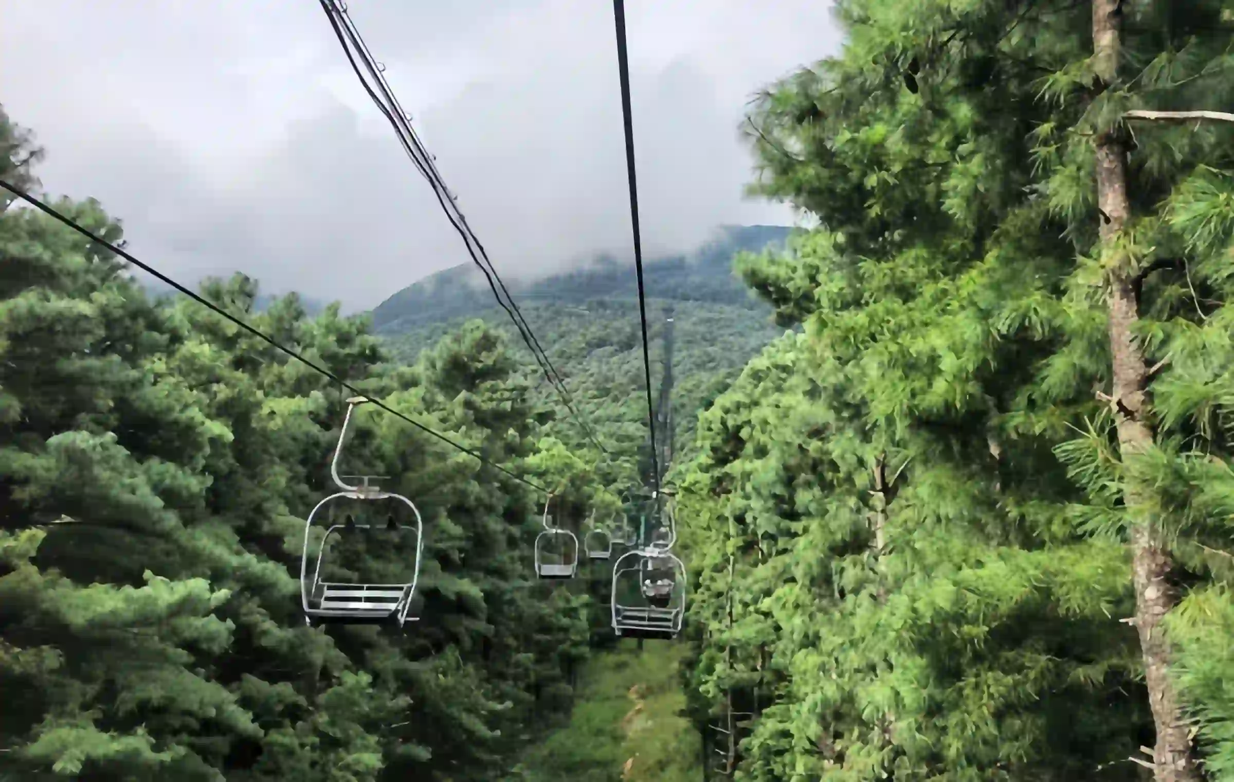 Cangshan park: A Natural Epic from the Roof of the World to the Wind, Flowers, Snow, and Moon-3