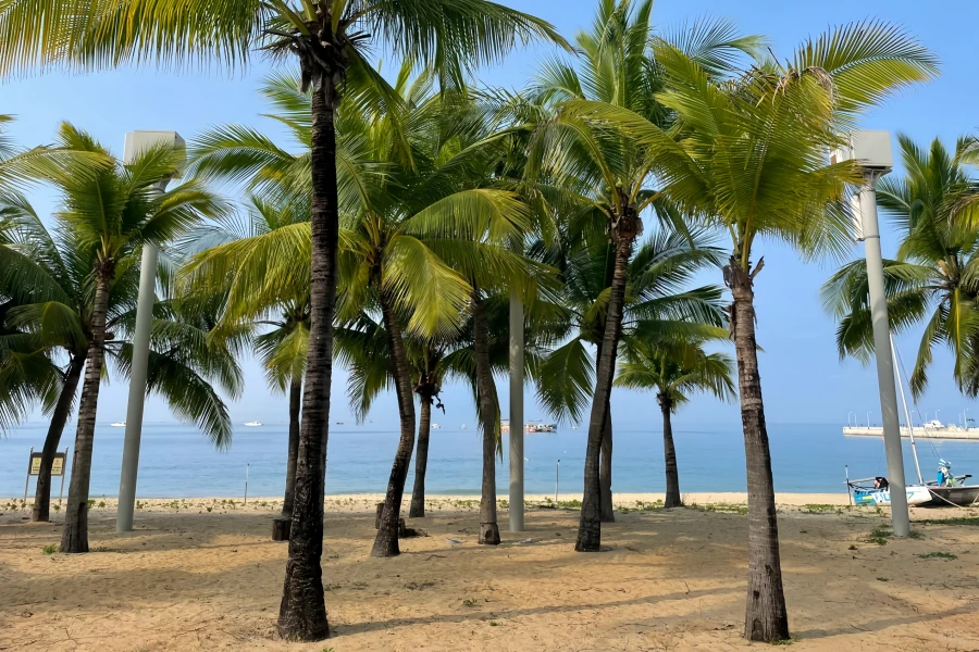 Tianya Haijiao: A Romantic Journey to the Southernmost Point of Mainland China-2