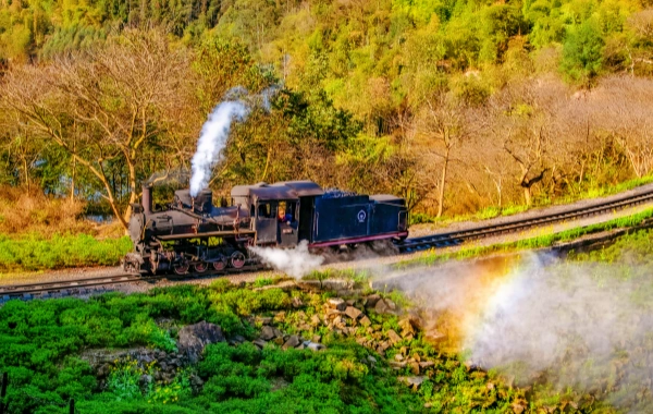 Jiayang small train: a living fossil of the industrial revolution passing through the flower sea-3
