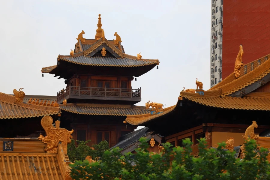 Jing'an Temple: A Thousand-Year Journey of Guardianship from the Ancient Chiwu Temple to an Urban Zen Forest-3