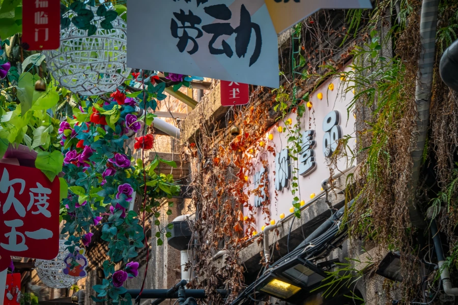 Tianzifang: A Shanghai Adventure from Street-Style Lanes to Art Districts