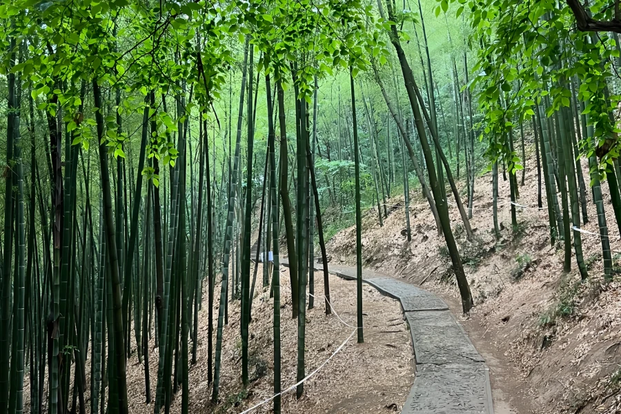 Tianma Mountain: Eine Hidden Wonderland Journey auf dem Land-basierten Gipfel von Shanghai-2