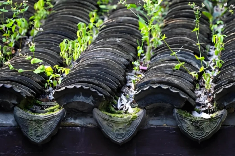 Langya Mountain: A Journey of Landscape Poetry and Painting Immersed in Millennium Cultural Heritage-3