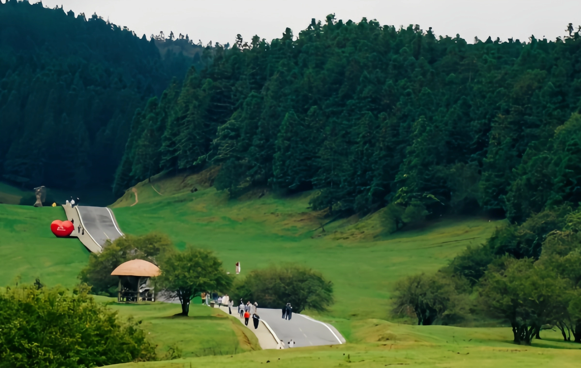 Tiannv Mountain in Wulong, Chongqing: A Natural Miracle from Ancient Underwater to High Mountain Grassland-3