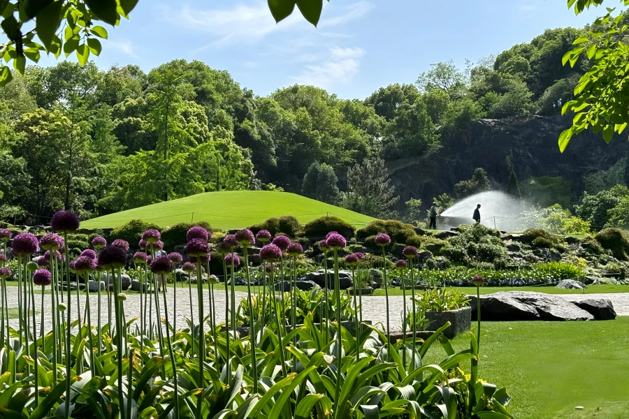 Chenshan Botanical Garden: A Green Rebirth Journey from Abandoned Mine to Ecological Sanctuary