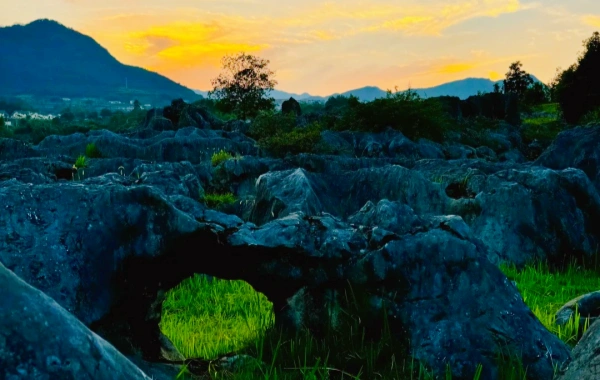 Xingwen Stone Sea: A Journey from Vast Ocean to 