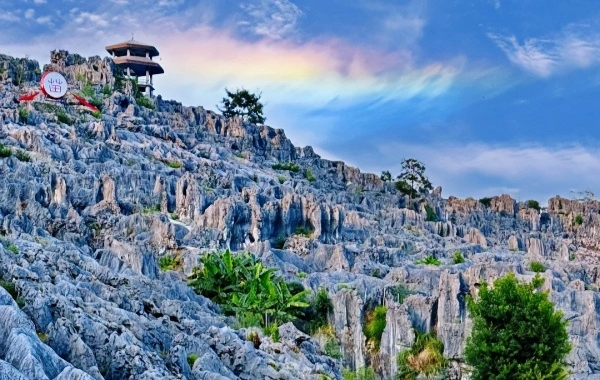 Xingwen Stone Sea: A Journey from Vast Ocean to 