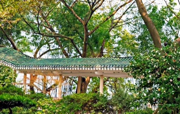 Eling Park: A Journey Through a Century-Old Garden and Panoramic Views of Two Rivers from the Chongqing Peninsula Summit-3