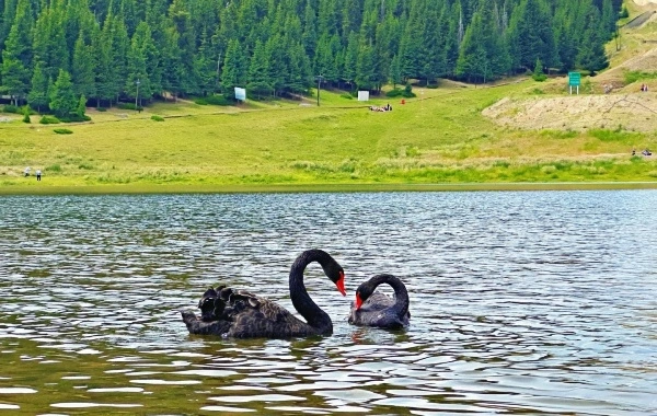 Tianshan Grand Canyon: A Pastoral Sanctuary and Natural Museum at the Foot of the Tianshan Mountains-3