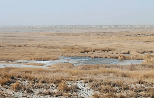 Yumenguan Pass: A Journey Through Two Thousand Years of Frontier Poetry and Vigilance-2