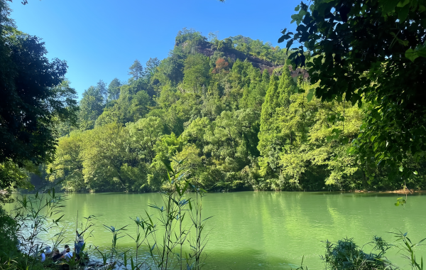 Wuyi Palace: A Sacred Temple of Wuyi Culture where a Thousand-Year-Old Taoist Temple Intertwines with a Song Dynasty Street-3