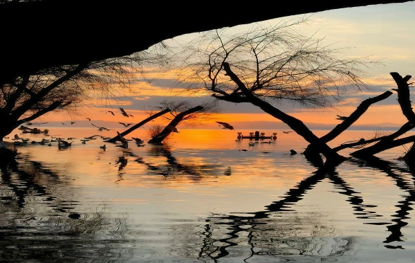 Haigeng Park: A Journey to a Seagull Sanctuary on the Shores of Kunming’s Dianchi Lake-3