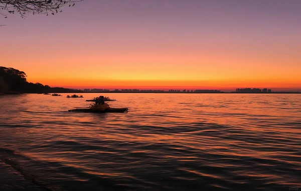 Haigeng Park: A Journey to a Seagull Sanctuary on the Shores of Kunming’s Dianchi Lake-4