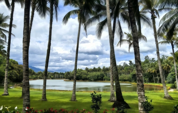  Jardín Botánico Tropical:Un viaje de descubrimiento en el Reino Verde a 21°Norte Latitud-3