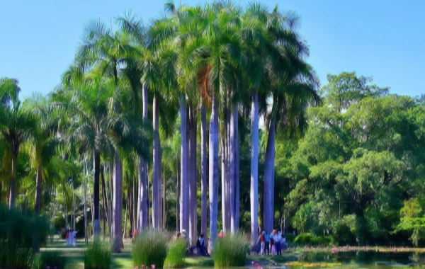  Jardín Botánico Tropical:Un viaje de descubrimiento en el Reino Verde a 21°Norte Latitud-4