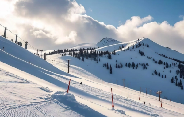 يابولي سكاى سياحية مُجدّد: The 