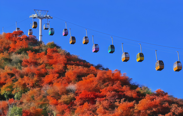 Fragrant Hills Park:Un paesaggio leggendario dal giardino imperiale al Mar Rosso di Pechino di colori-2