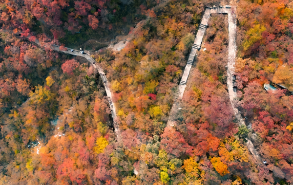 Fragrant Hills Park:Un paesaggio leggendario dal giardino imperiale al Mar Rosso di Pechino di colori-3