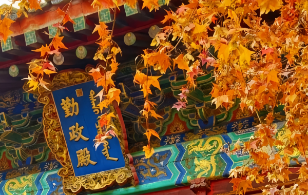 Fragrant Hills Park:Un paesaggio leggendario dal giardino imperiale al Mar Rosso di Pechino di colori-4