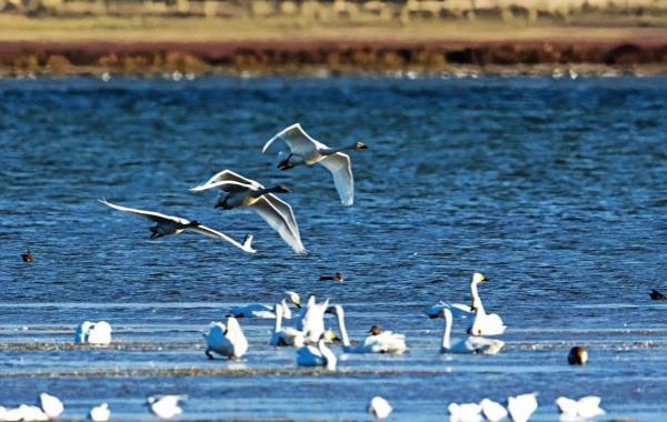 Yulong Sand Lake: A Prehistoric 