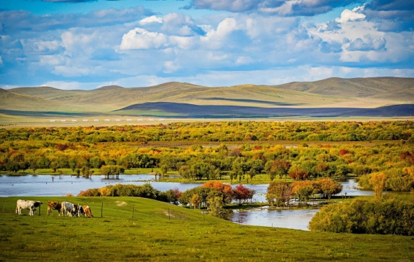 Ergun Wetland:A Journey to