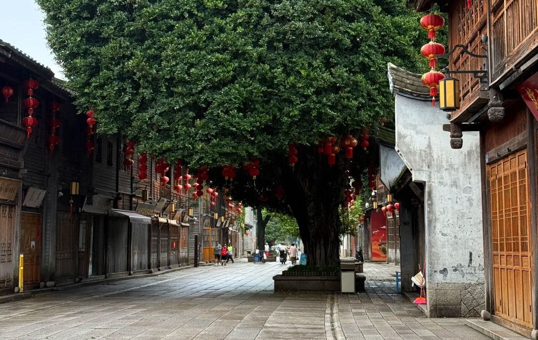 Fuzhou 서쪽 호수: A 1,700 년 오래된 잉크 및 매쉬 스크롤은 결코 퇴색하지 않았습니다-4