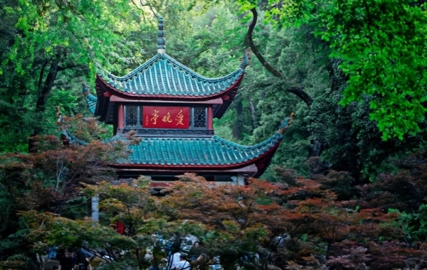 Yuelu Mountain National Key Scenic Area:A Journey to the Pinnacle of the