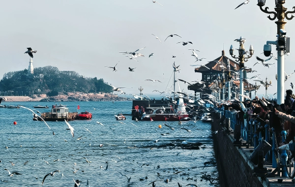 Zhanqiao Pier: Icona marina vecchia di Qingdao e Landmark culturale-2