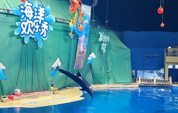 Acuario de Beijing: Un viaje de sueño azul en una metrópolis del interior-4