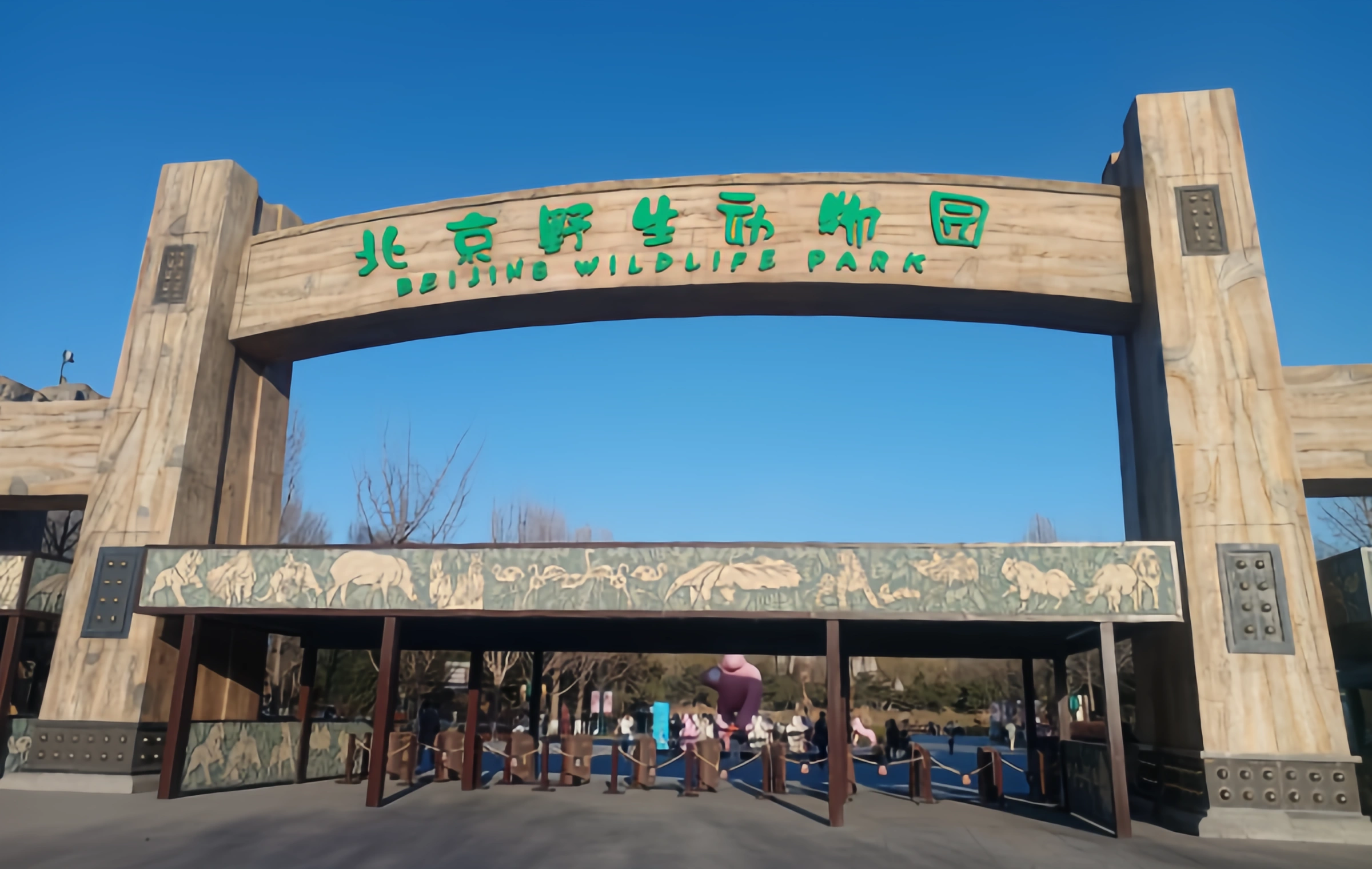 Beijing Wildlife Park: A Real-Life 