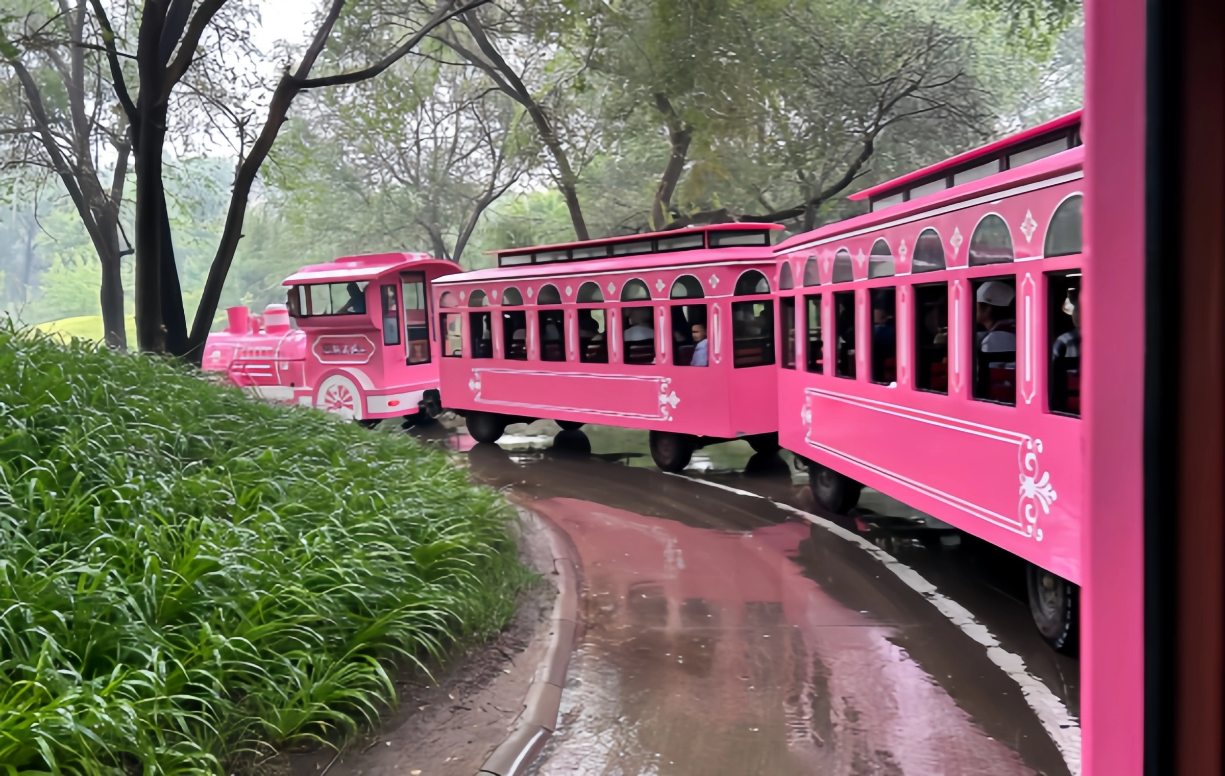 Beijing Wildlife Park: A Real-Life 