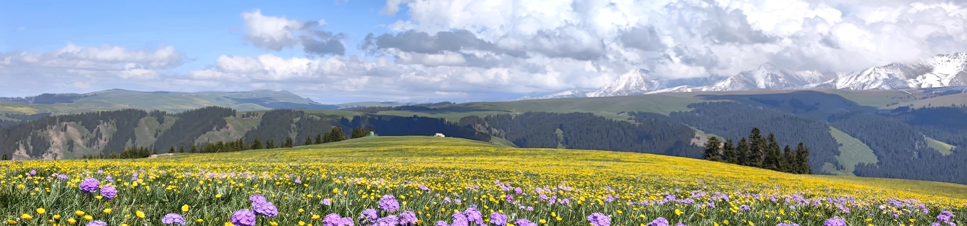 Best Time to Visit China? A 2026 Month-by-Month Guide