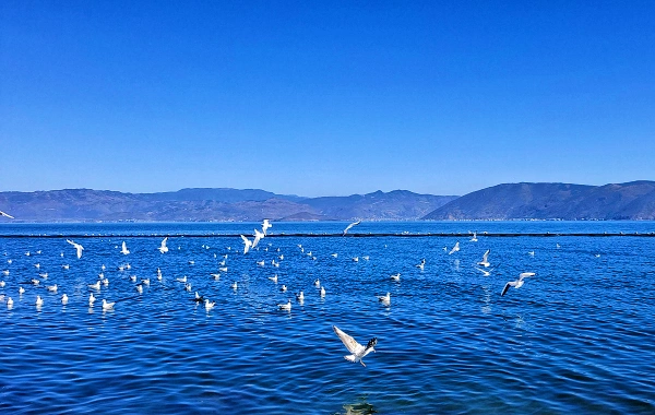 3-Day Kunming Lijiang Dali Tour