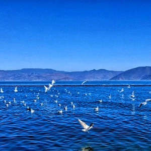 3-Day Kunming Lijiang Dali Tour