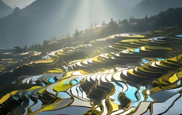 7-Day Yunnan's Most Popular Cities Tour 