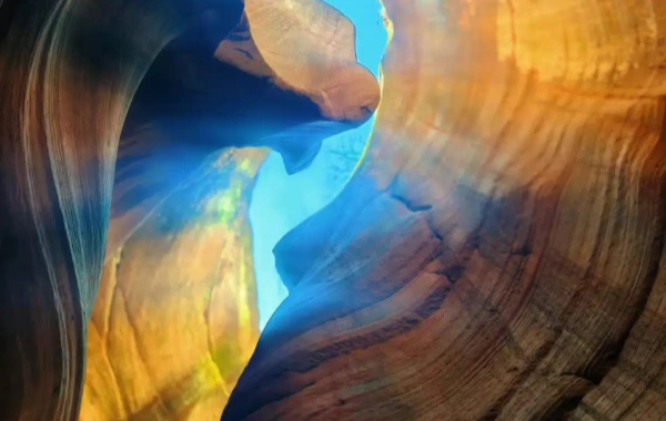 Yucha Grand Canyon.webp