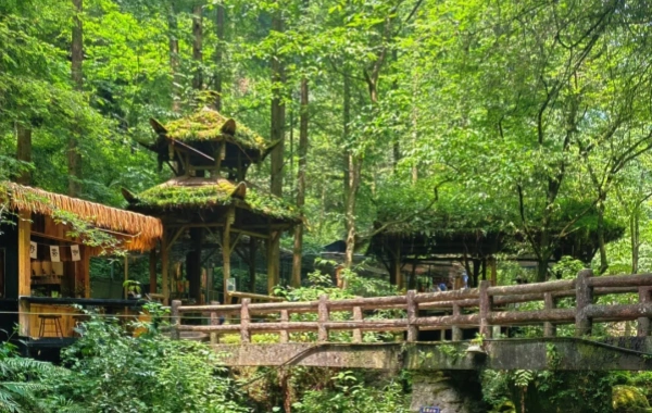 The scenery of Mount Qingcheng.webp