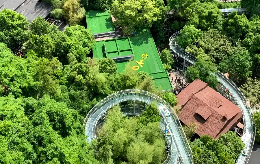 Hangzhou to OMG Park.webp