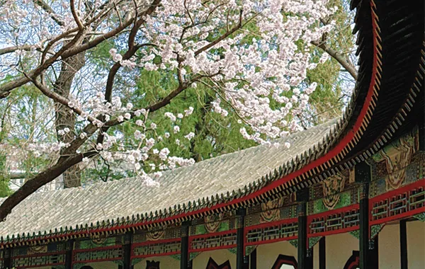 Beijing One-Day Private Sightseeing 4.webp