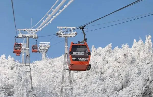 Chengdu Private Day Tour with Car: Xiling Snow Mountain, Cable Car & Snow Fun Experience